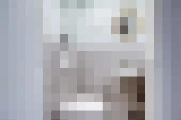 Monnetlaan 14 Utrecht thumbnail 36