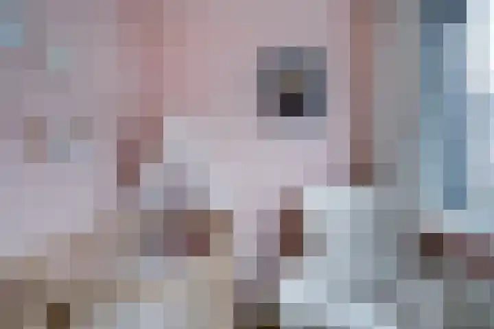 Monnetlaan 14 Utrecht thumbnail 40