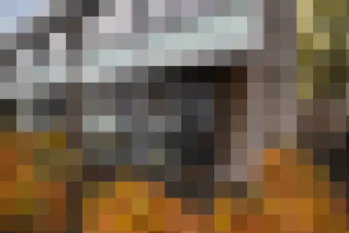 Monnetlaan 14 Utrecht thumbnail 5