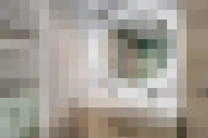 Monnetlaan 14 Utrecht thumbnail 52