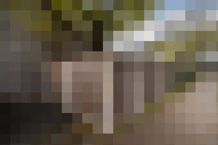 Monnetlaan 14 Utrecht thumbnail 54