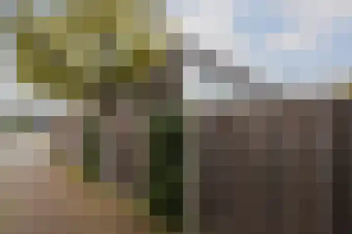 Monnetlaan 14 Utrecht thumbnail 55