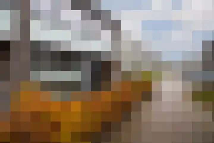 Monnetlaan 14 Utrecht thumbnail 56