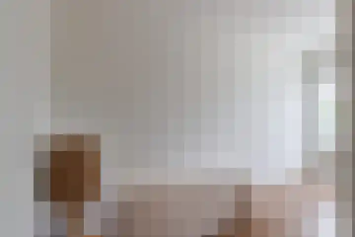 Monnetlaan 15 Utrecht thumbnail 12