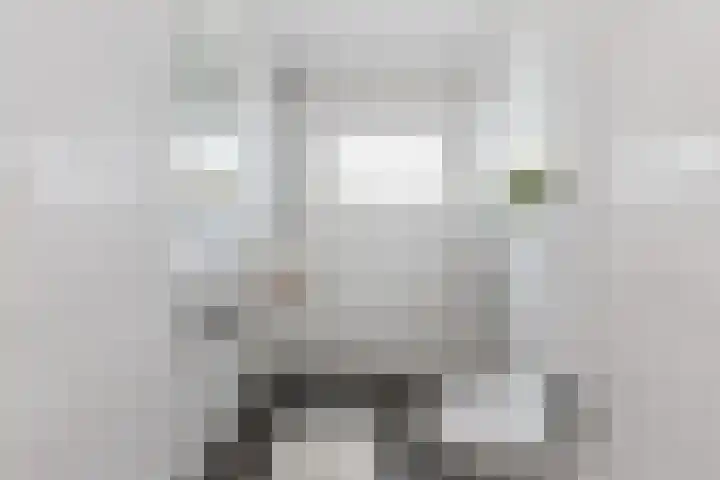 Monnetlaan 15 Utrecht thumbnail 15