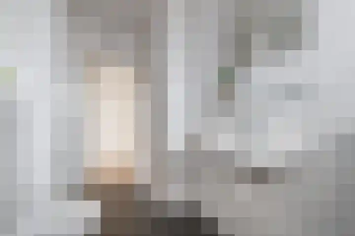 Monnetlaan 15 Utrecht thumbnail 16