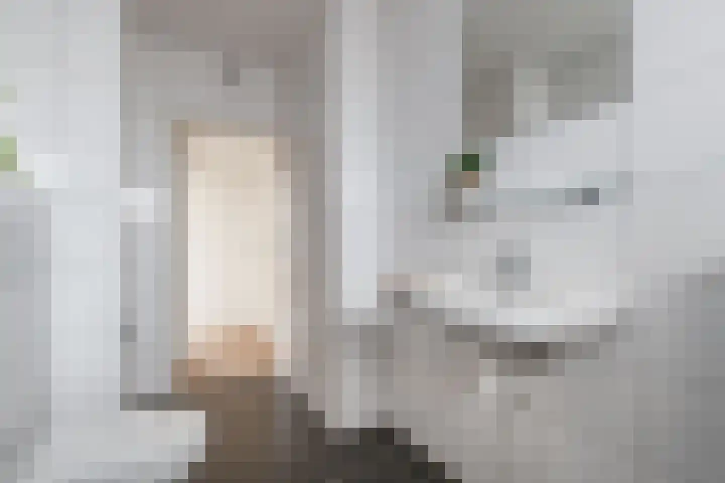 Monnetlaan 15 Utrecht thumbnail 16