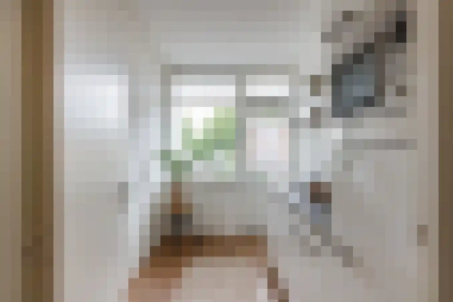 Monnetlaan 15 Utrecht thumbnail 17