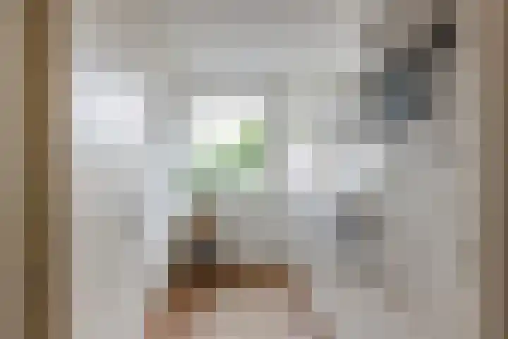 Monnetlaan 15 Utrecht thumbnail 17