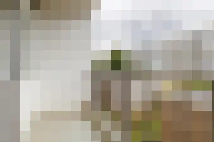Monnetlaan 15 Utrecht thumbnail 18