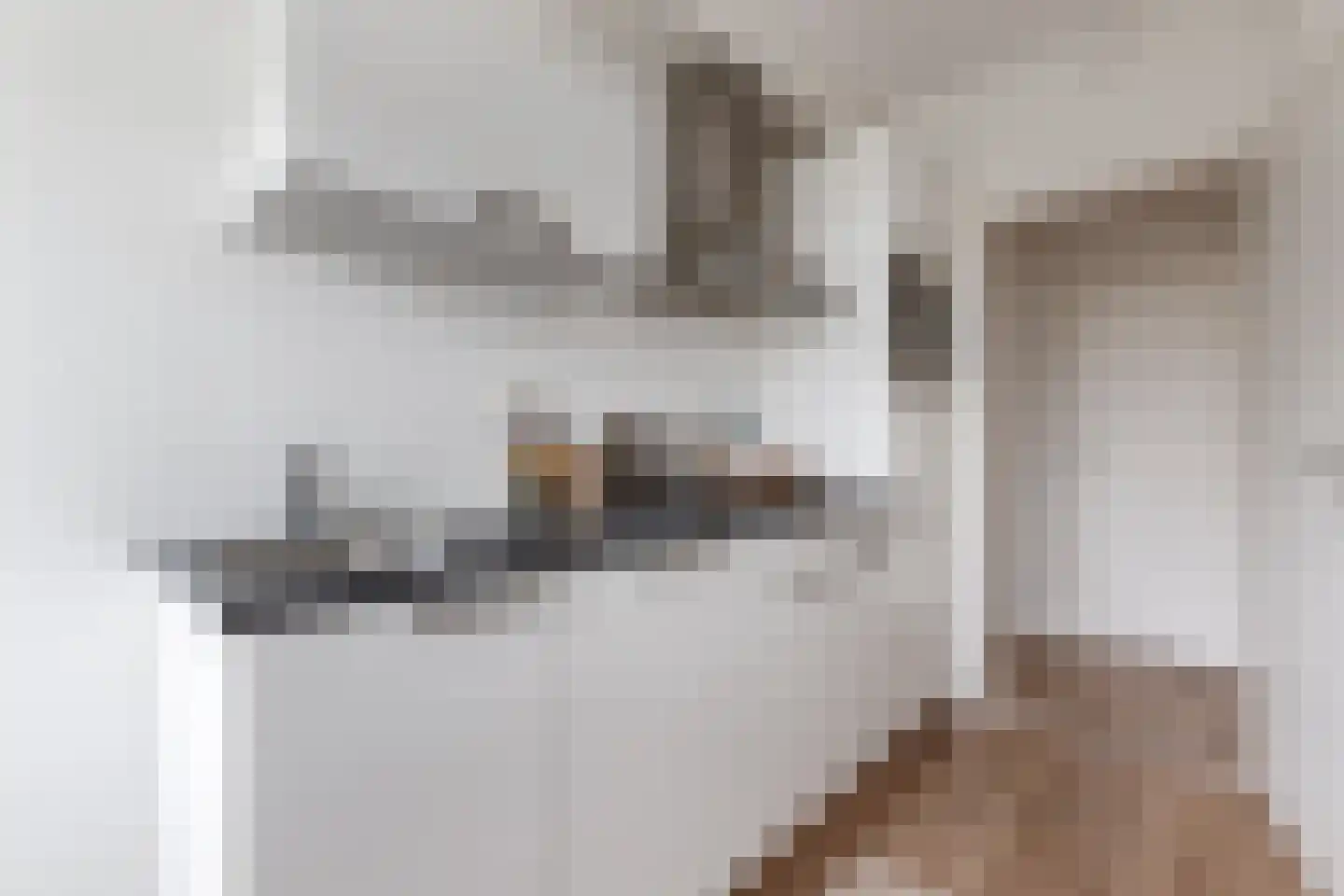 Monnetlaan 15 Utrecht thumbnail 19