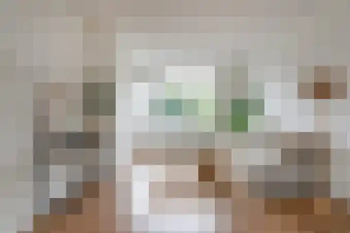 Monnetlaan 15 Utrecht thumbnail 4