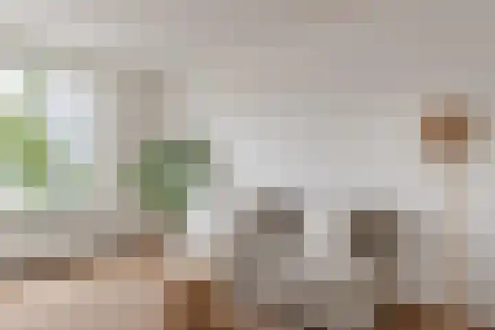 Monnetlaan 15 Utrecht thumbnail 5