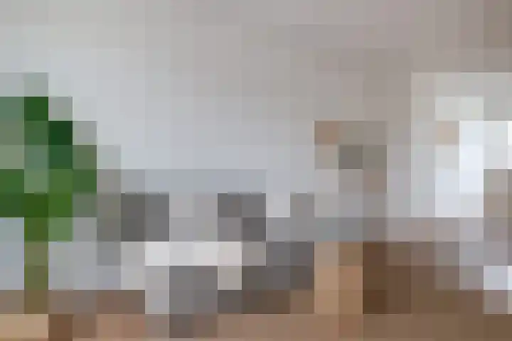 Monnetlaan 15 Utrecht thumbnail 6