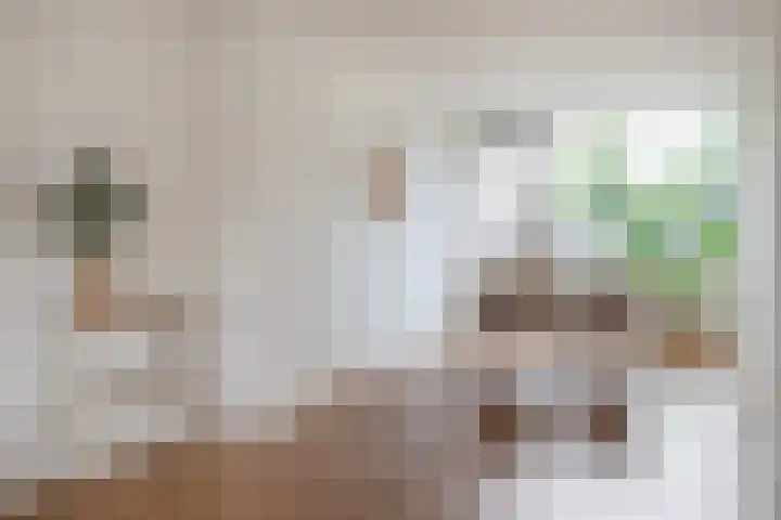 Monnetlaan 15 Utrecht thumbnail 8