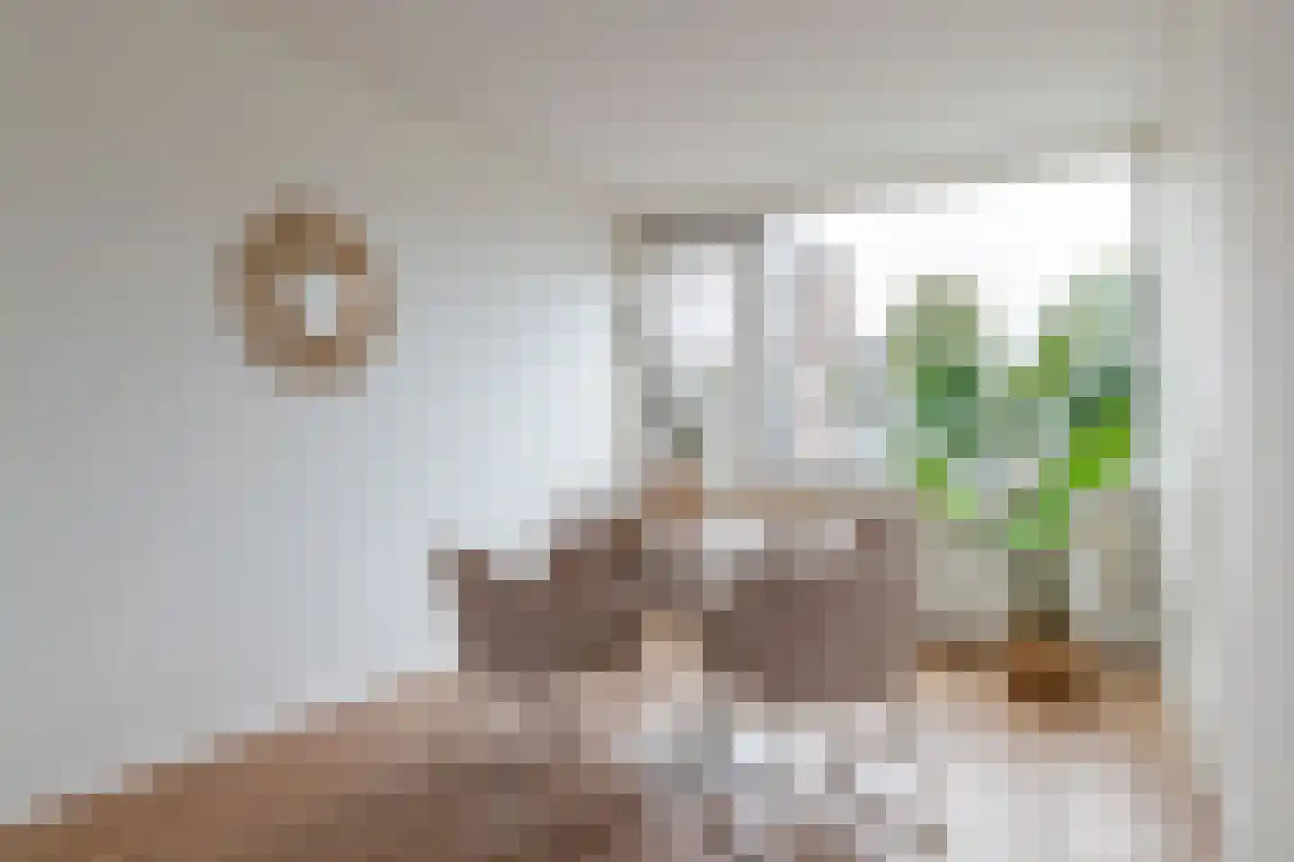 Monnetlaan 15 Utrecht thumbnail 9