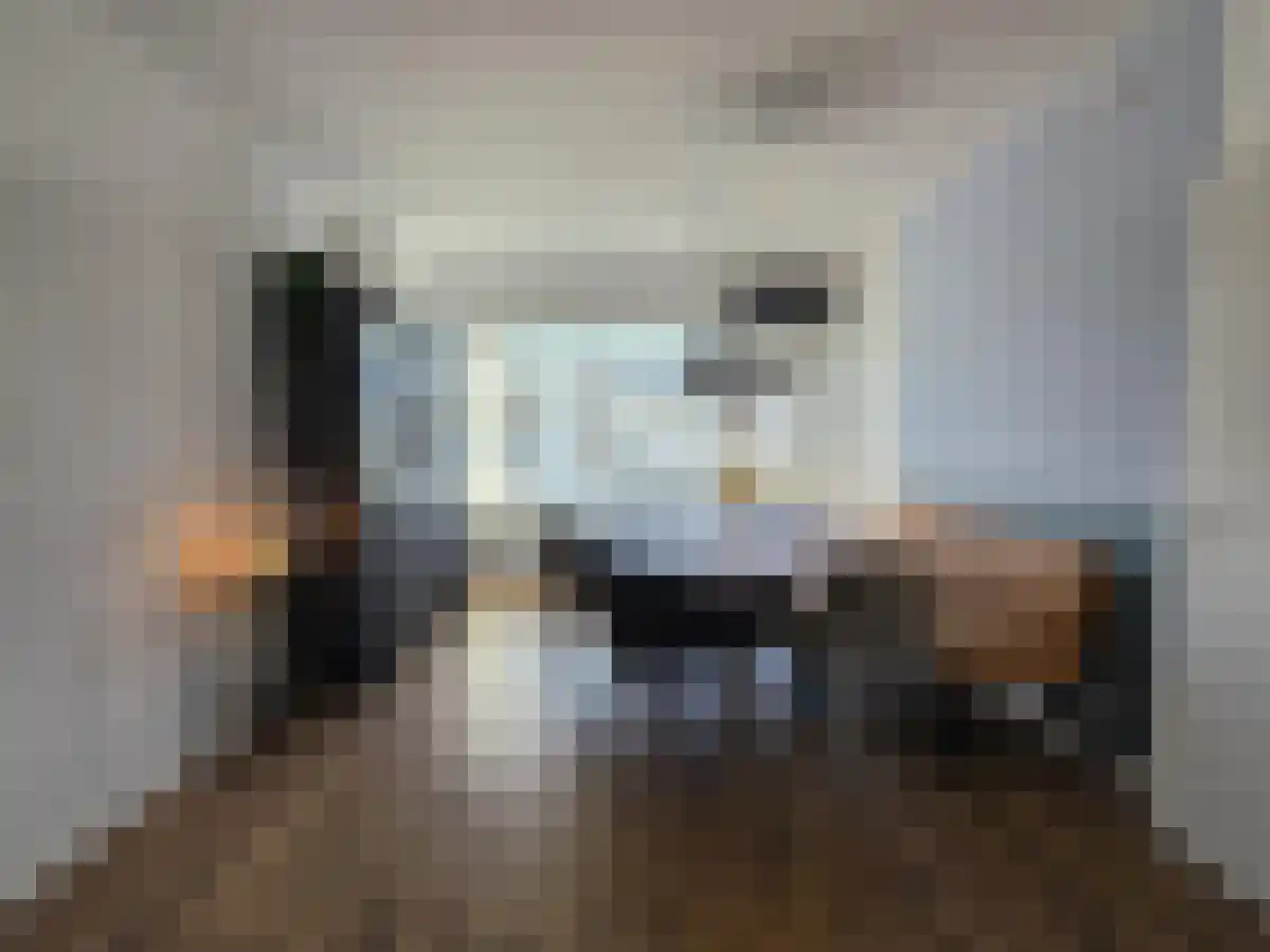 Monnetlaan 22 Utrecht thumbnail 6