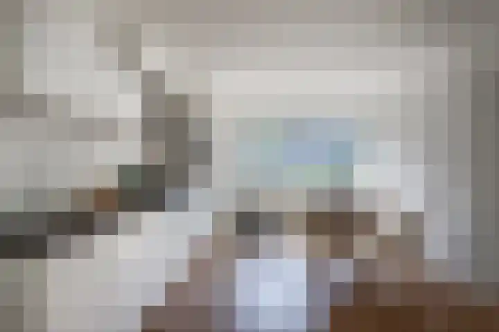 Monnetlaan 3 A Utrecht thumbnail 5