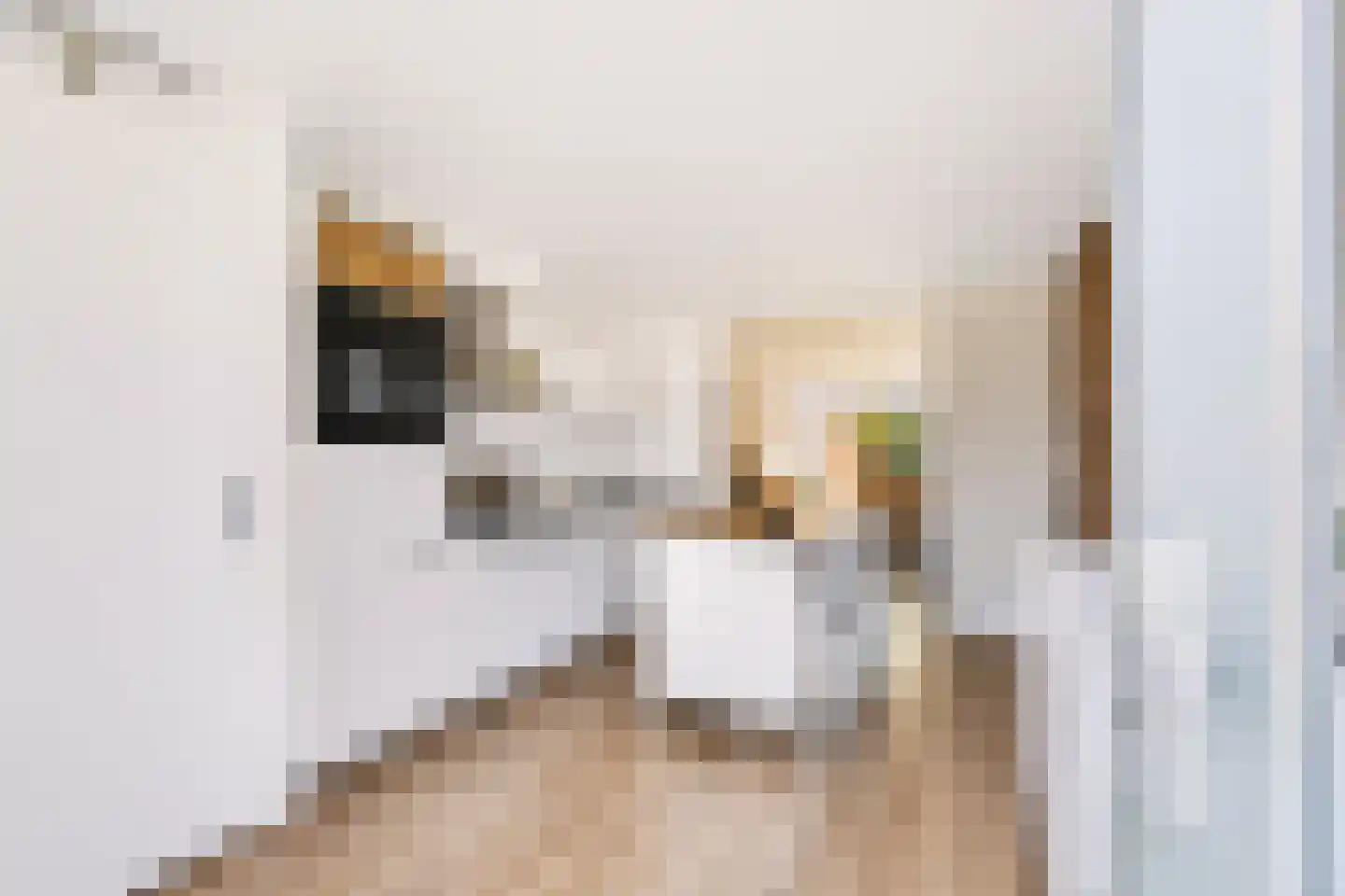 Monnetlaan 3 A Utrecht thumbnail 7