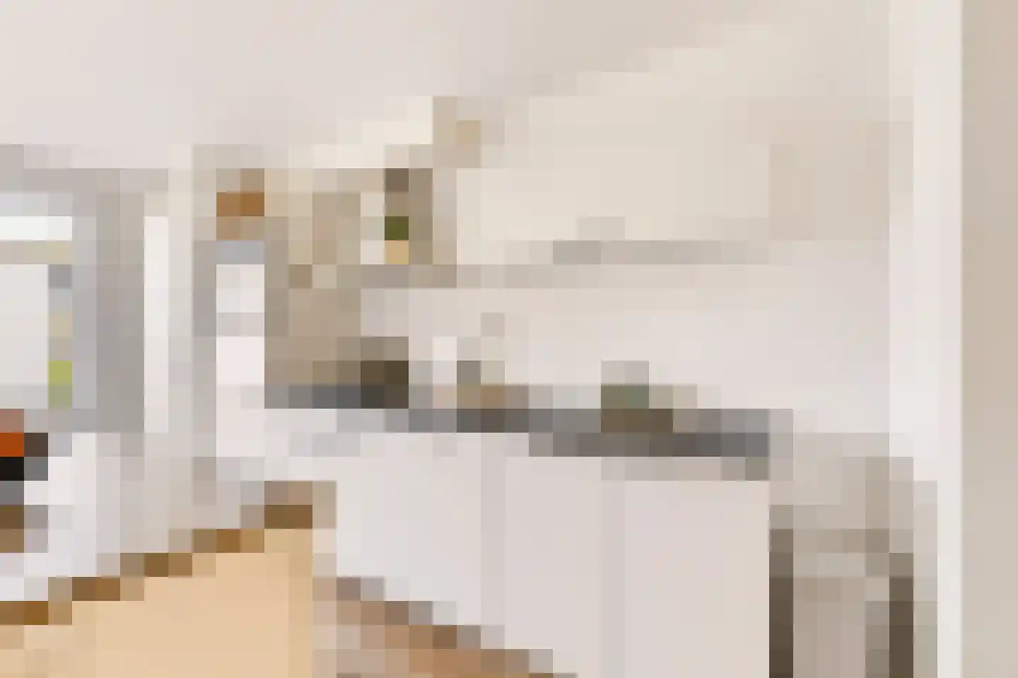 Monnetlaan 3 A Utrecht thumbnail 8