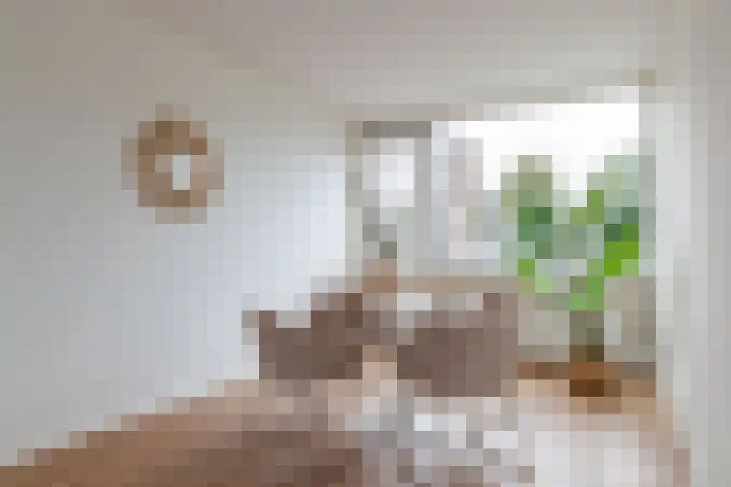 Monnetlaan 35 Utrecht thumbnail 8