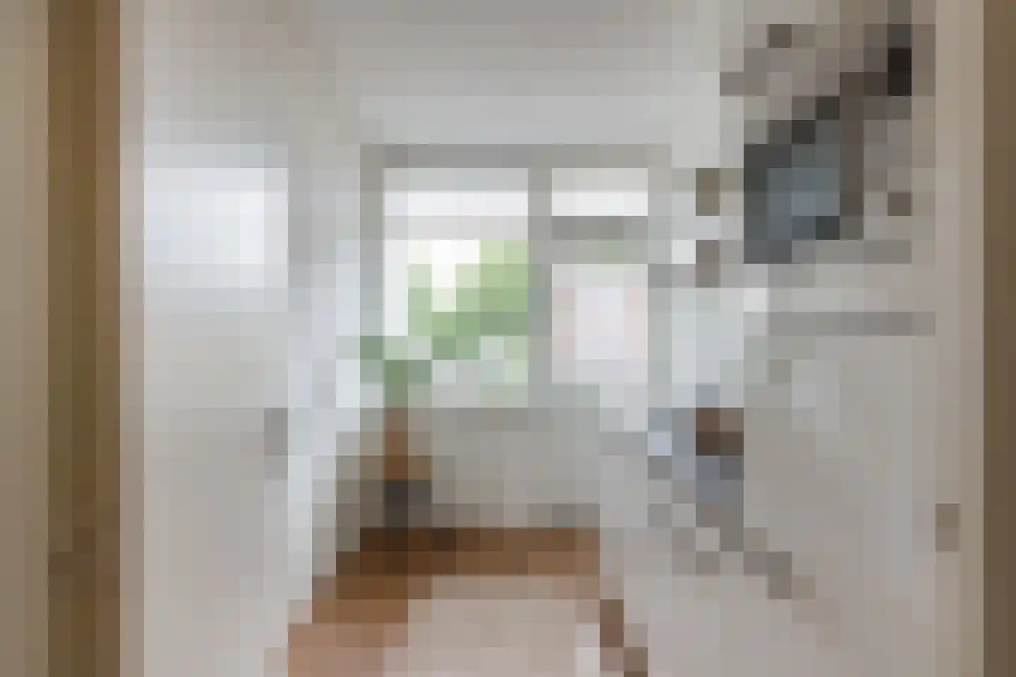 Monnetlaan 35 Utrecht thumbnail 9