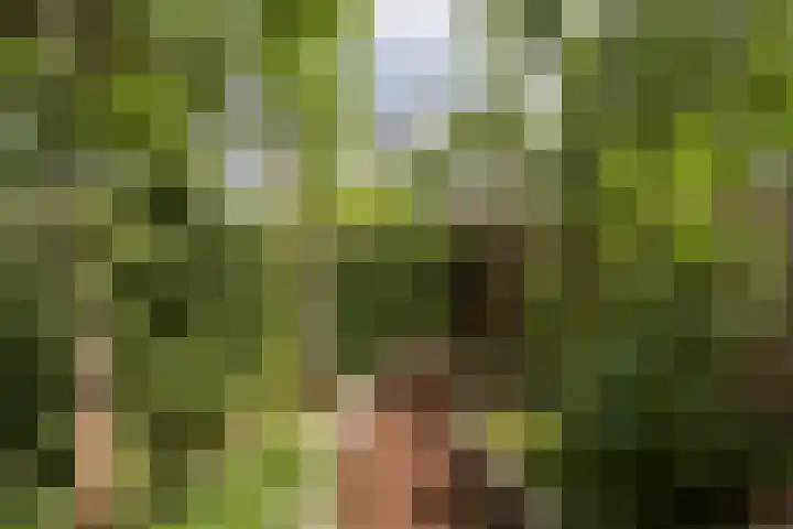 Monnetlaan 4 Utrecht thumbnail 28