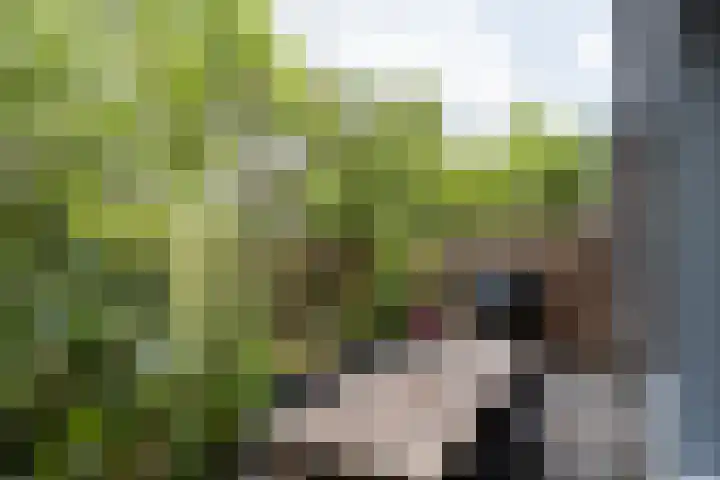 Monnetlaan 4 Utrecht thumbnail 30