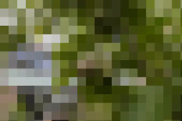 Monnetlaan 4 Utrecht thumbnail 31