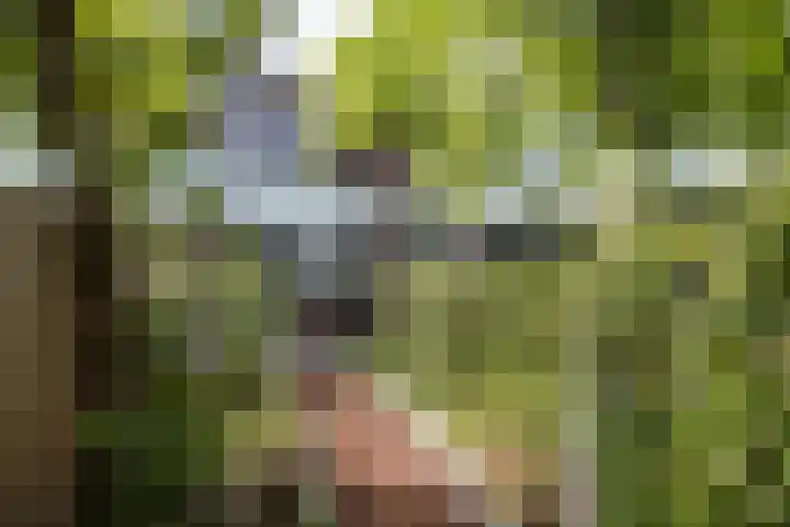 Monnetlaan 4 Utrecht thumbnail 32