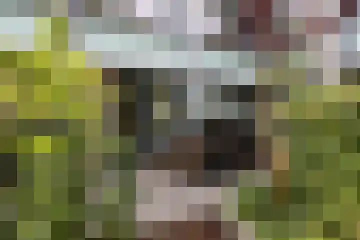 Monnetlaan 4 Utrecht thumbnail 34