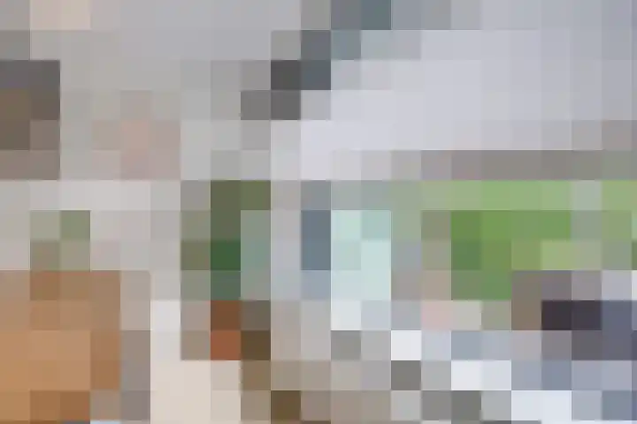 Monnetlaan 4 Utrecht thumbnail 35
