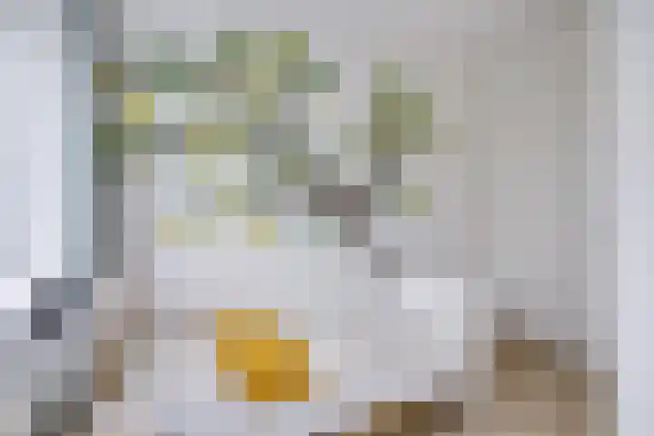 Monnetlaan 4 Utrecht thumbnail 50