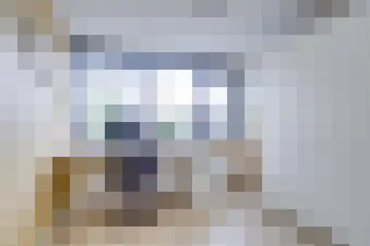 Monnetlaan 4 Utrecht thumbnail 51