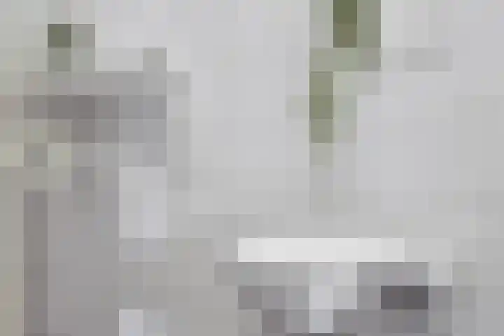 Monnetlaan 52 Utrecht thumbnail 26