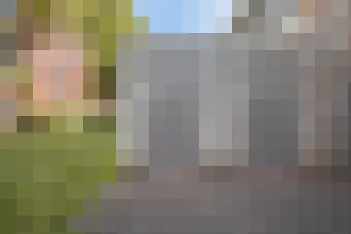 Monnetlaan 52 Utrecht thumbnail 31
