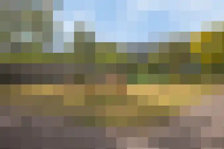Monnetlaan 52 Utrecht thumbnail 32