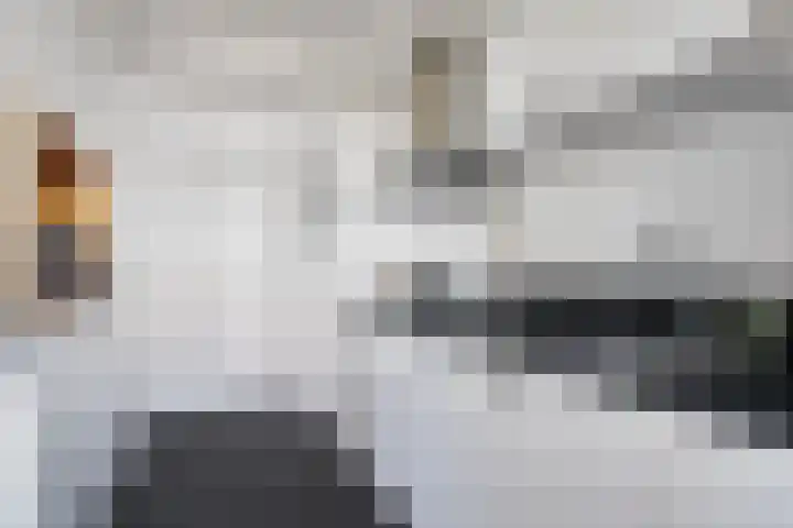 Monnetlaan 52 Utrecht thumbnail 4