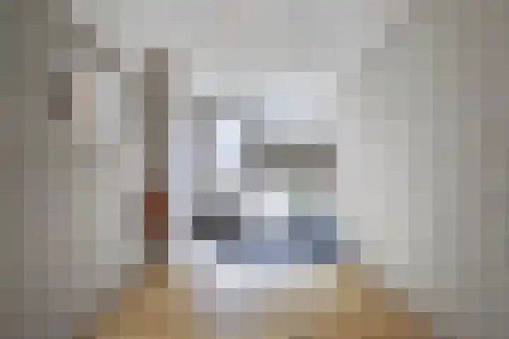 Monnetlaan 52 Utrecht thumbnail 6