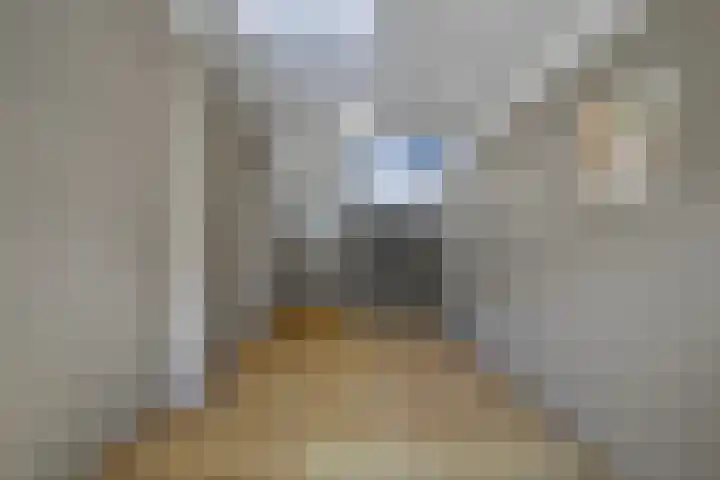 Monnetlaan 52 Utrecht thumbnail 7