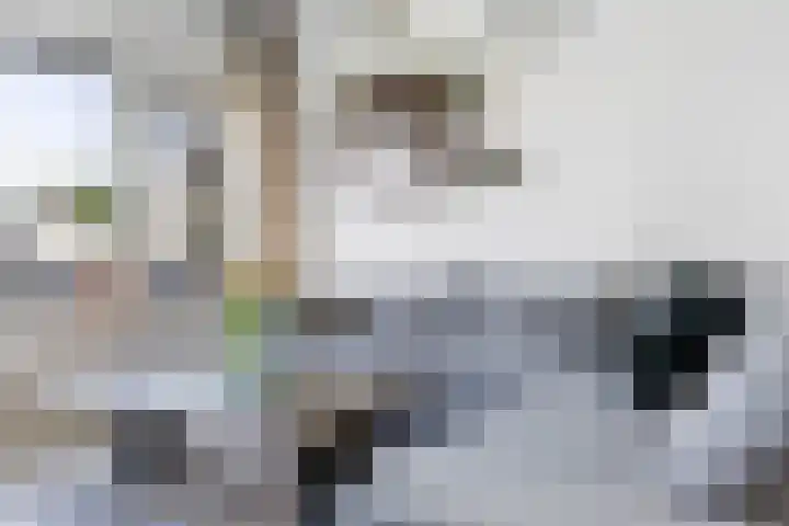 Monnetlaan 54 Utrecht thumbnail 10