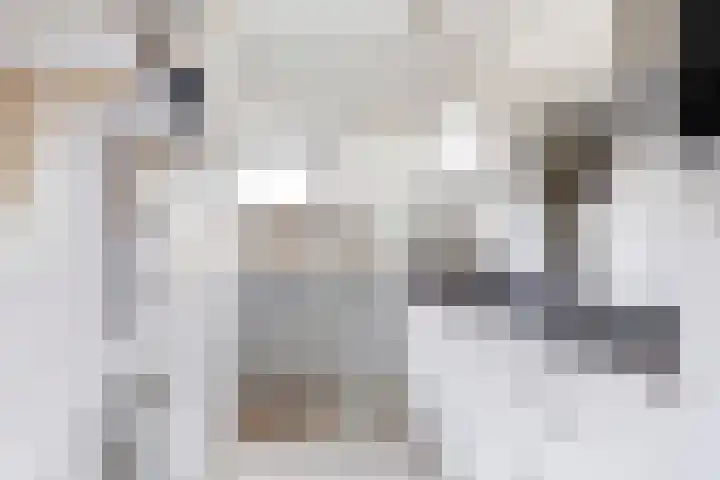 Monnetlaan 54 Utrecht thumbnail 16