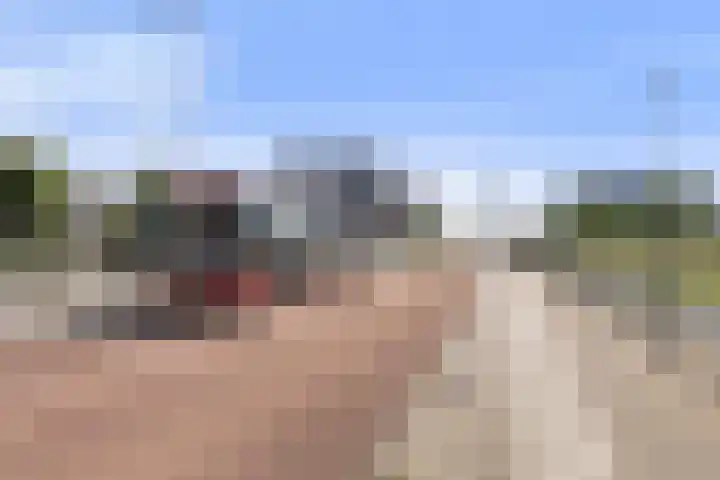 Monnetlaan 54 Utrecht thumbnail 31