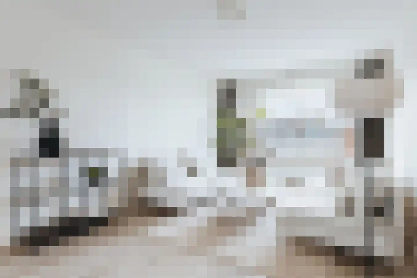 Monnetlaan 64 Utrecht thumbnail 12