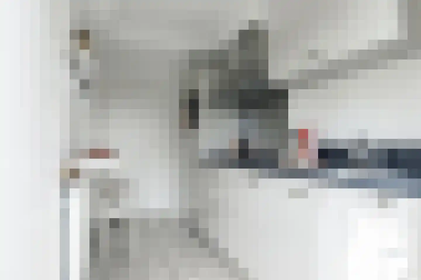 Monnetlaan 64 Utrecht thumbnail 17