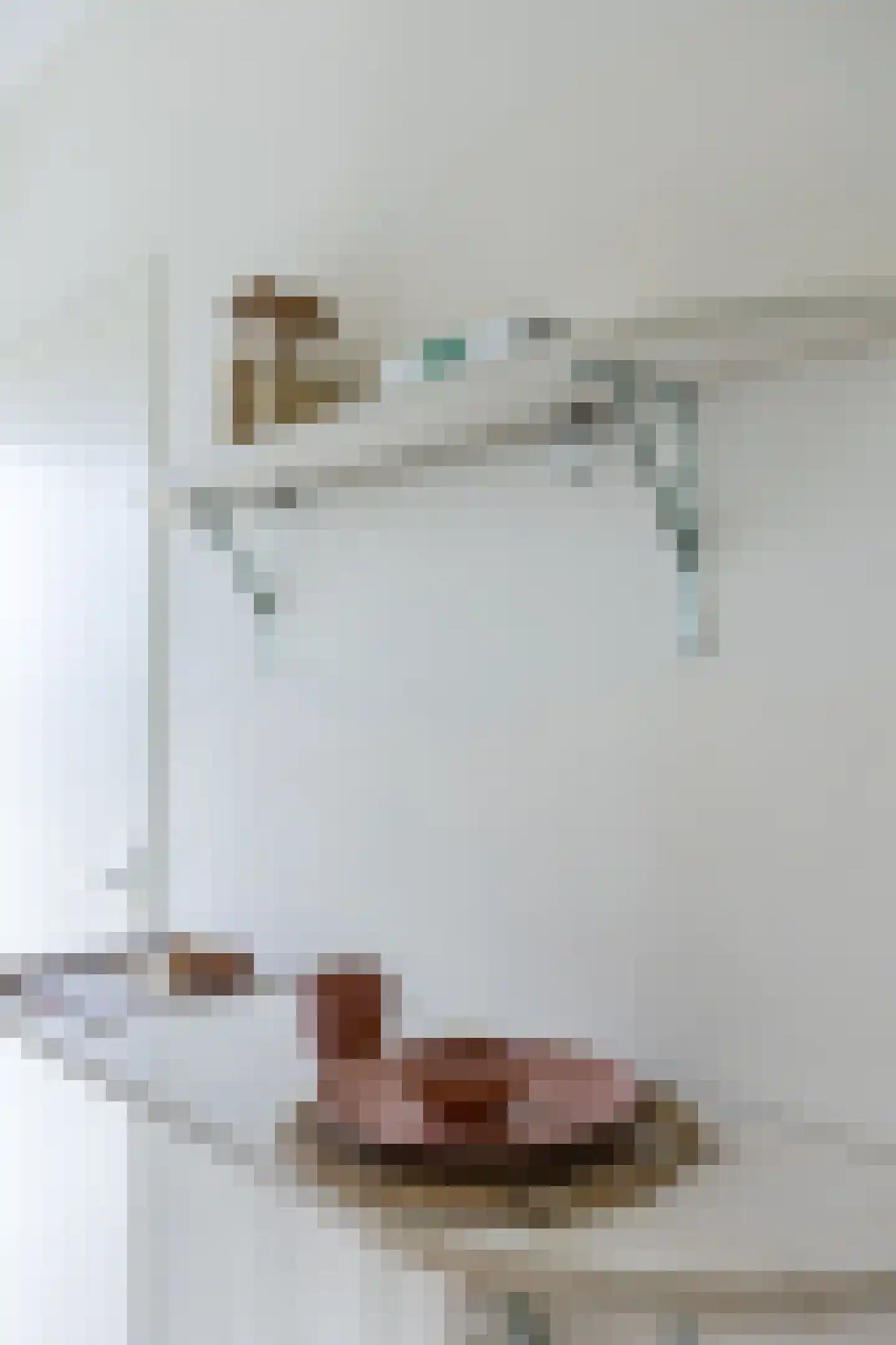 Monnetlaan 64 Utrecht thumbnail 18