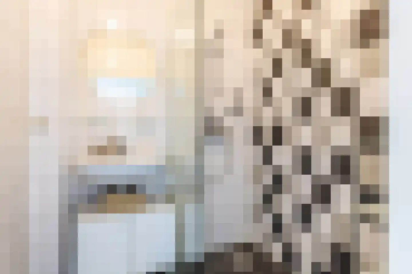 Monnetlaan 64 Utrecht thumbnail 24