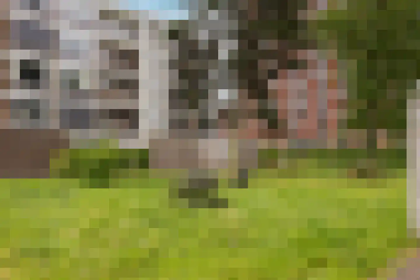 Monnetlaan 64 Utrecht thumbnail 32