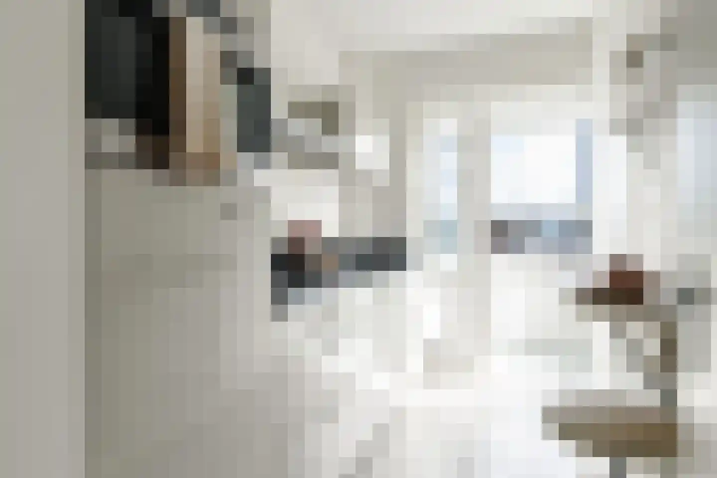 Monnetlaan 64 Utrecht thumbnail 4
