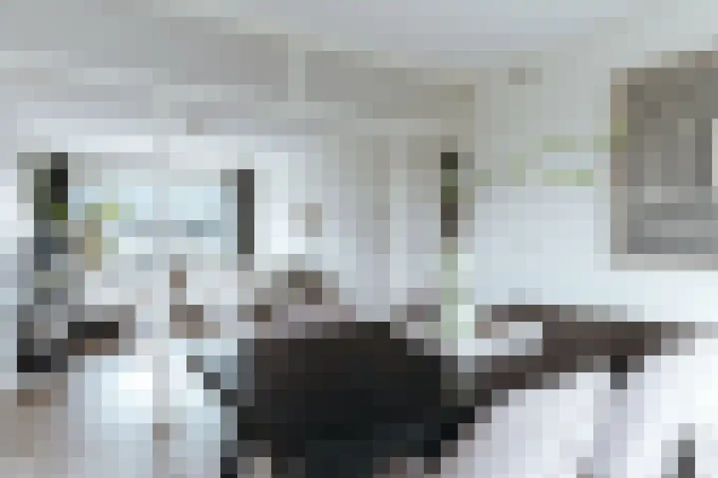 Monnetlaan 64 Utrecht thumbnail 5
